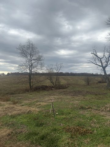 46 Caps rd, Indian Mound, TN 37079