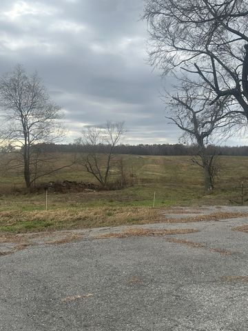 46 Caps rd, Indian Mound, TN 37079