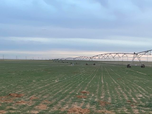 CR 139, Loop, TX 79342