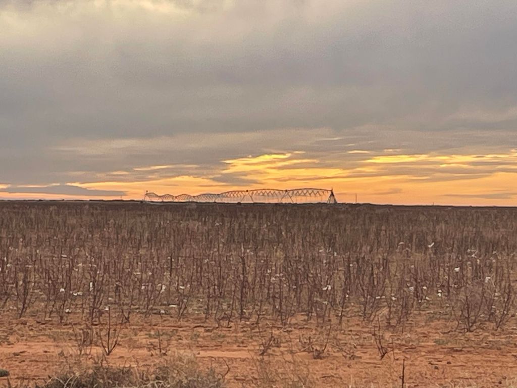 CR 139, Loop, TX 79342