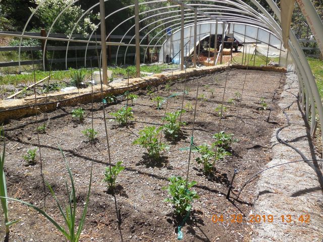 6067 Sheep Ranch Rd, Murphys, CA 95247