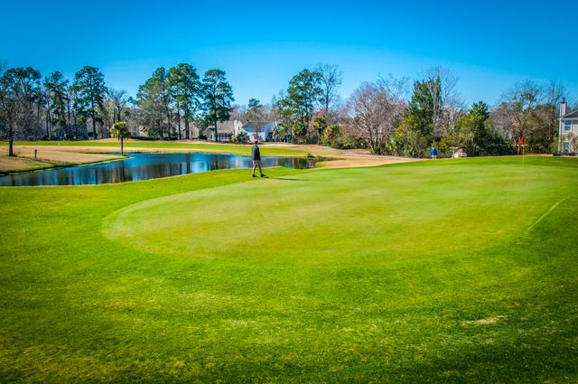 47 Wolk Drive, Charleston, SC 29414