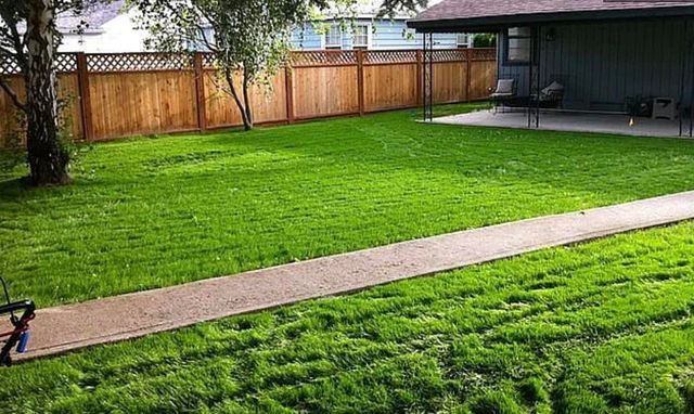 5214 N Belt St, Spokane, WA 99205