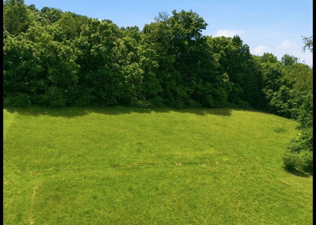 17 Dog Branch Rd, S, Pleasant Shade, TN 37145