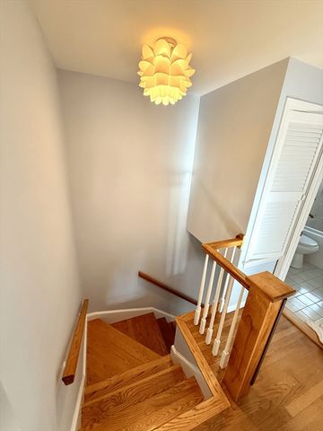 28 College Farm Rd 2, Waltham, MA 02451