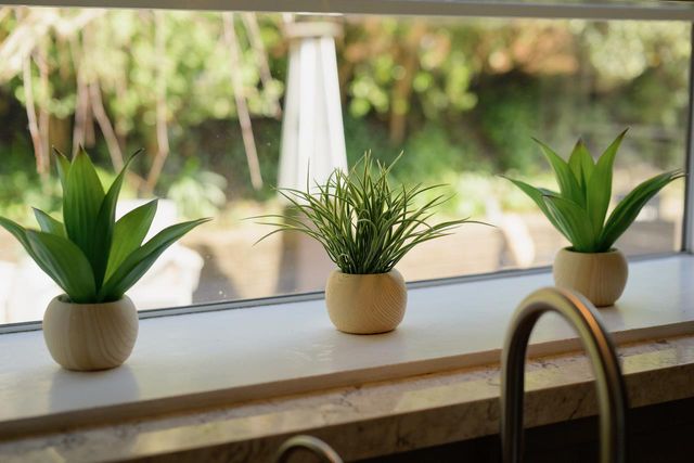 602 Navarra Drive, Scotts Valley, CA 95066