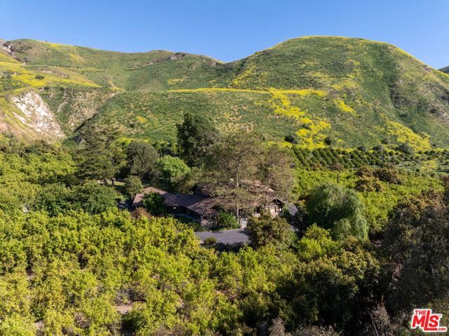 15454 S Mountain Road, Santa Paula, CA 93060