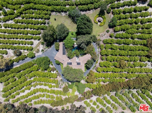 15454 S Mountain Road, Santa Paula, CA 93060