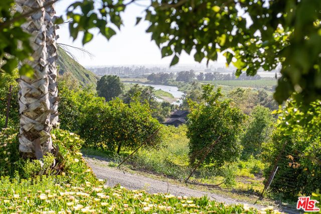 15454 S Mountain Road, Santa Paula, CA 93060