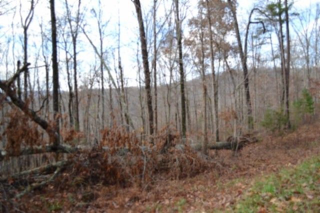 0 Tomahawk Rd, Jamestown, TN 38556