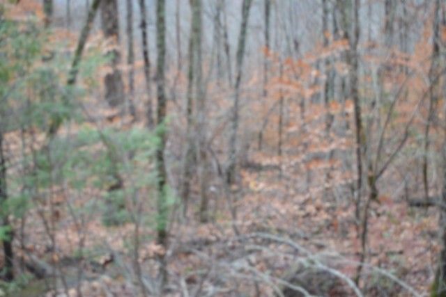 0 Tomahawk Rd, Jamestown, TN 38556