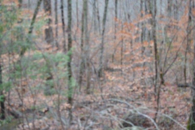 0 Tomahawk Rd, Jamestown, TN 38556