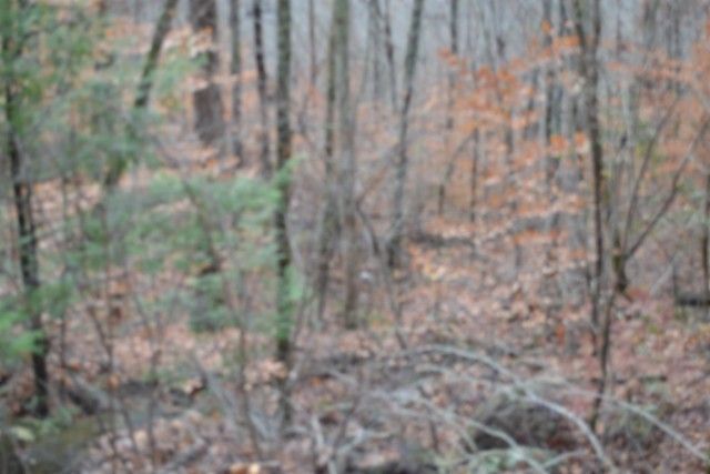 0 Tomahawk Rd, Jamestown, TN 38556