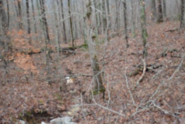 0 Tomahawk Rd, Jamestown, TN 38556