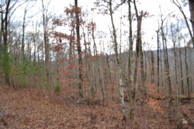 0 Tomahawk Rd, Jamestown, TN 38556