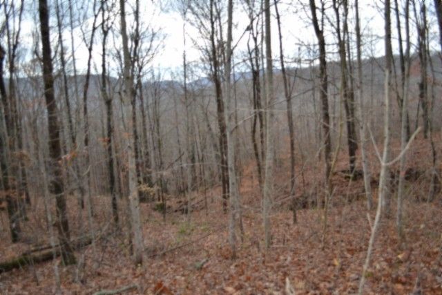 0 Tomahawk Rd, Jamestown, TN 38556