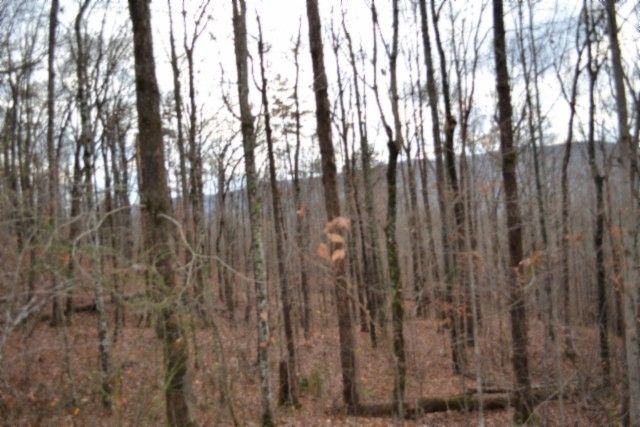 0 Tomahawk Rd, Jamestown, TN 38556