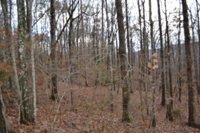 0 Tomahawk Rd, Jamestown, TN 38556