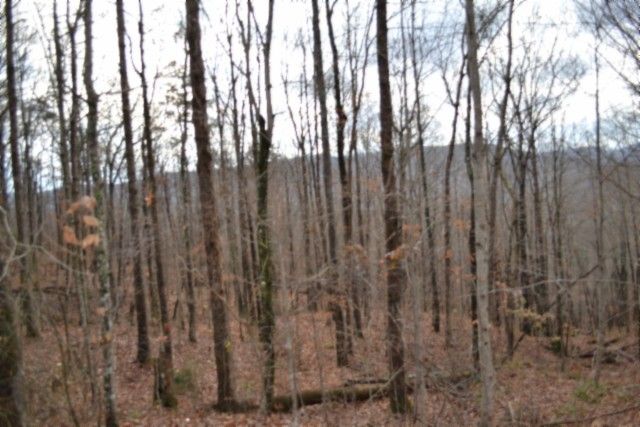 0 Tomahawk Rd, Jamestown, TN 38556