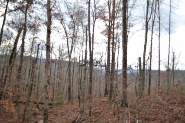 0 Tomahawk Rd, Jamestown, TN 38556