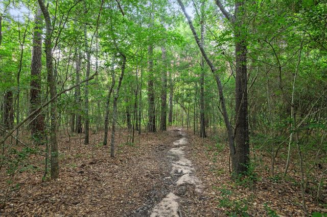 22914 Three Pines Drive, Hockley, TX 77447