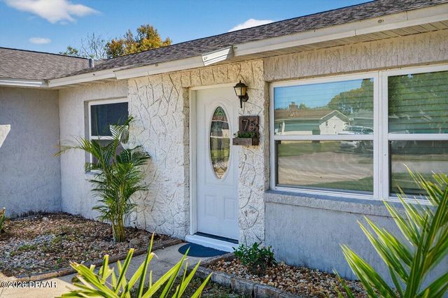 175 Brandy Hills Drive, Port Orange, FL 32129