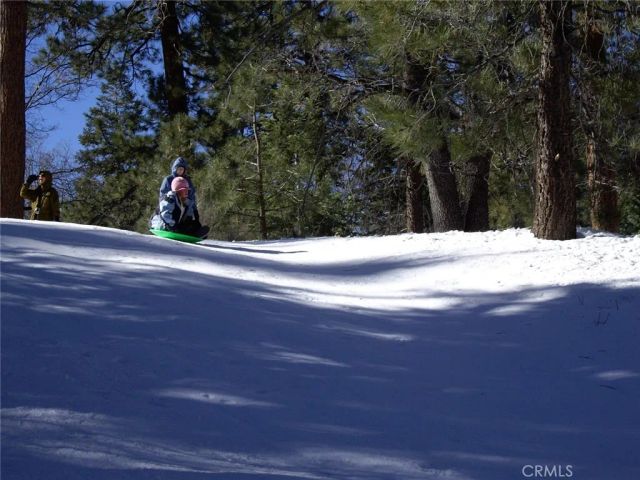 41990 Tamarack Drive, Big Bear Lake, CA 92315
