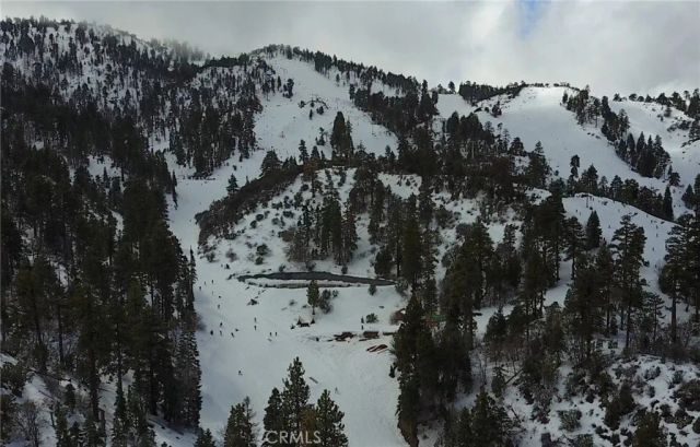 41990 Tamarack Drive, Big Bear Lake, CA 92315