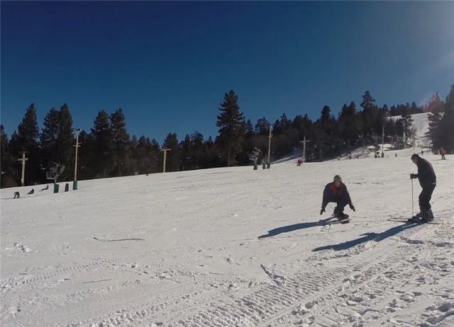 41990 Tamarack Drive, Big Bear Lake, CA 92315