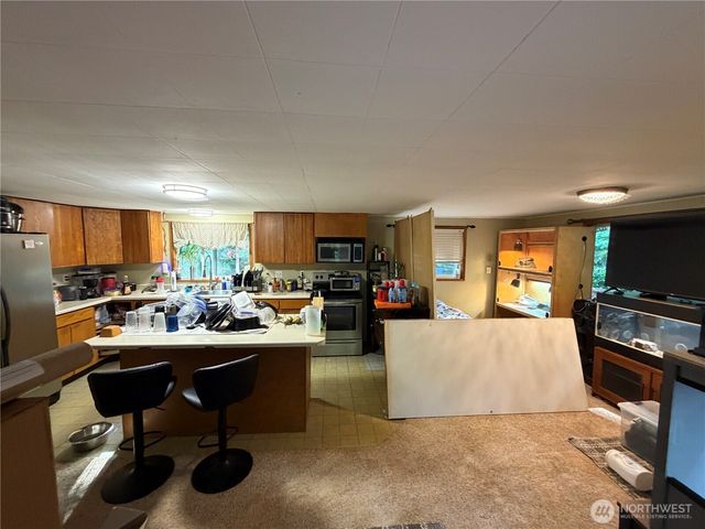 41766 N Shore Lane, Concrete, WA 98237