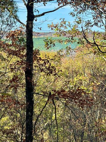 10 Eagle Ridge Dr., Greers Ferry, AR 72067