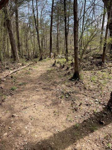 155 Polk Road 170, Mena, AR 71953