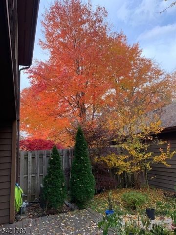 54 Holly Ct 54, Edison Twp., NJ 08820