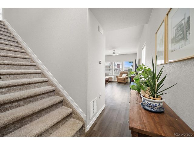 8145 Talc Dr, Colorado Springs, CO 80938