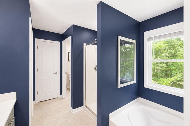 349 Green Fern Drive, Summerville, SC 29483