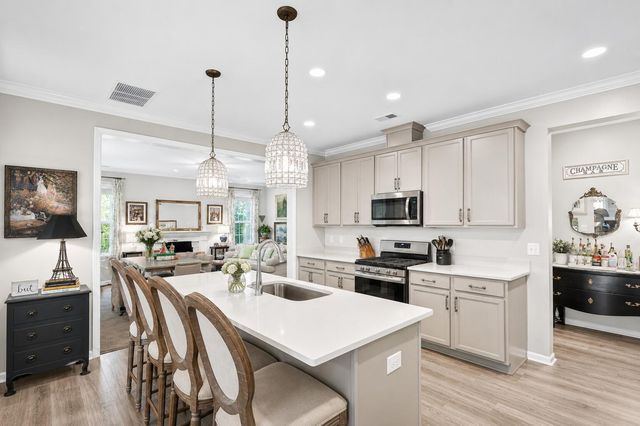 349 Green Fern Drive, Summerville, SC 29483