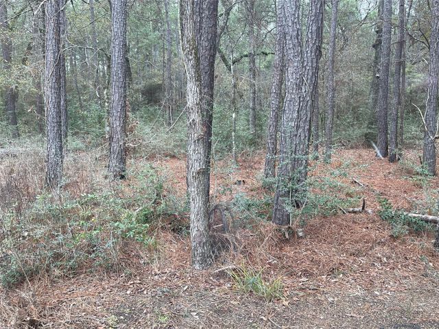 lot 20 Hackberry Drive, Plantersville, TX 77363