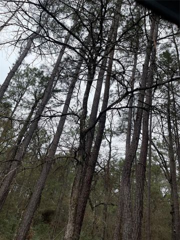 lot 20 Hackberry Drive, Plantersville, TX 77363