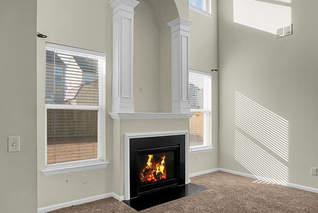 222 Weeping Cypress Drive, Moncks Corner, SC 29461