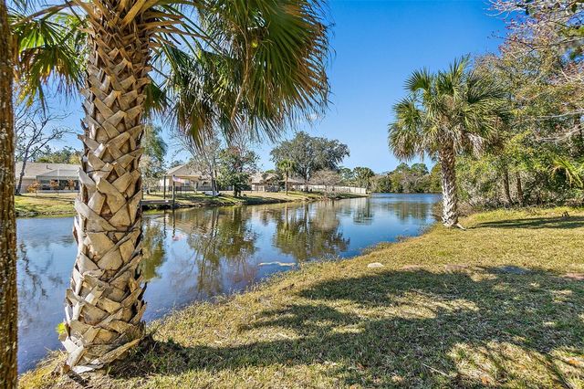 125 BIRCHWOOD DRIVE, Palm Coast, FL 32137