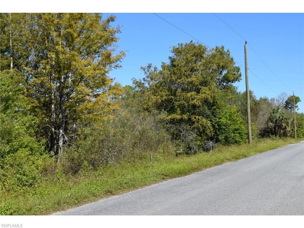Jacks Branch RD, LABELLE, FL 33935 — photo 2