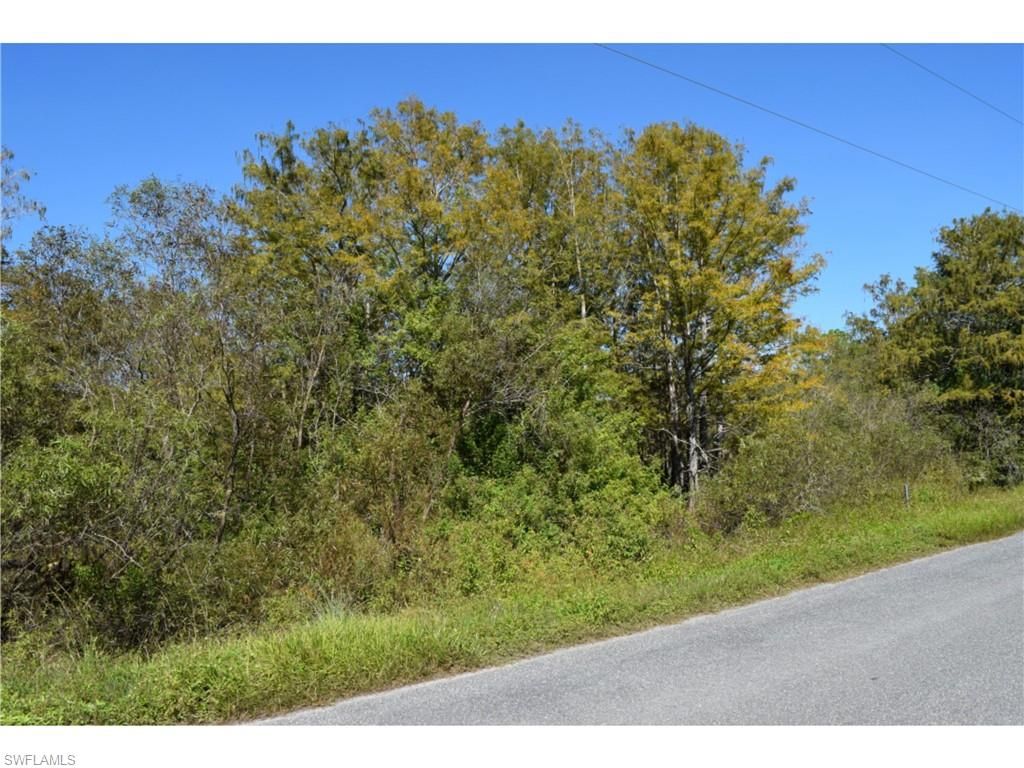 Jacks Branch RD, LABELLE, FL 33935 — photo 3