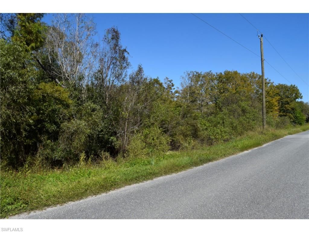 Jacks Branch RD, LABELLE, FL 33935 — photo 5