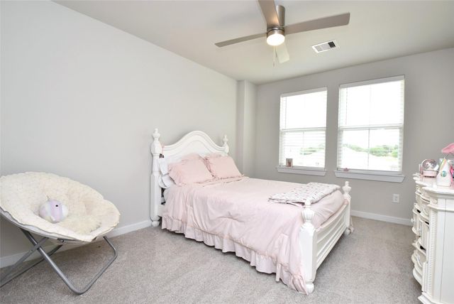 308 Spruce Oak Lane, Waller, TX 77484