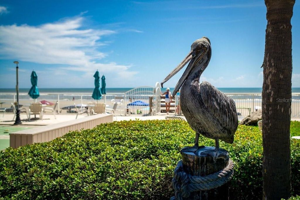 Image 39 of property listing at 2401 S ATLANTIC AVENUE D304, New Smyrna Beach, FL 32169