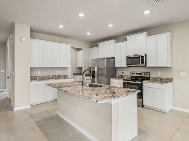 10864 TALLY FAWN LOOP, San Antonio, FL 33576