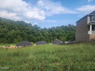 1633 Prospects Way, Gray, TN 37615