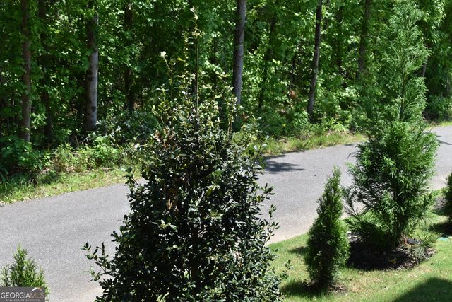 1050 Blair Ln 202, Peachtree City, GA 30269
