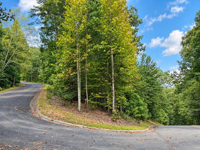35 Saw Blade Lane, Ellijay, GA 30540