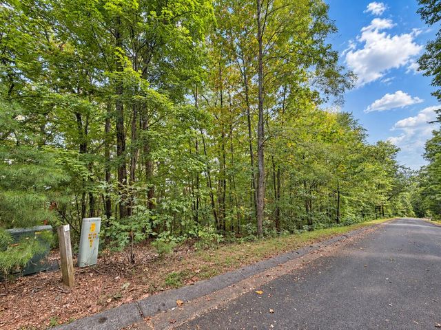 35 Saw Blade Lane, Ellijay, GA 30540